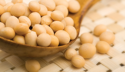 bevictorΰ�¹���-Τ�¹ٷ���վ