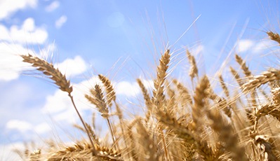 bevictorΰ�¹���-Τ�¹ٷ���վ