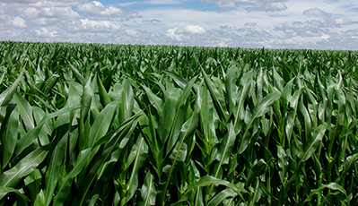 bevictorΰ�¹���-Τ�¹ٷ���վ