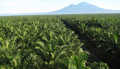 bevictorΰ�¹���-Τ�¹ٷ���վ