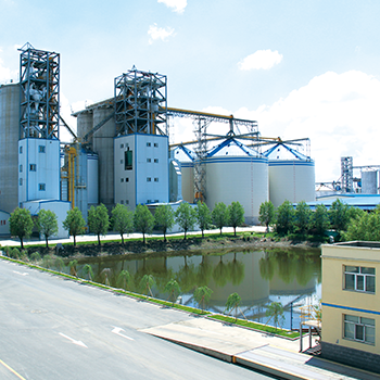 bevictorΰ�¹���-Τ�¹ٷ���վ