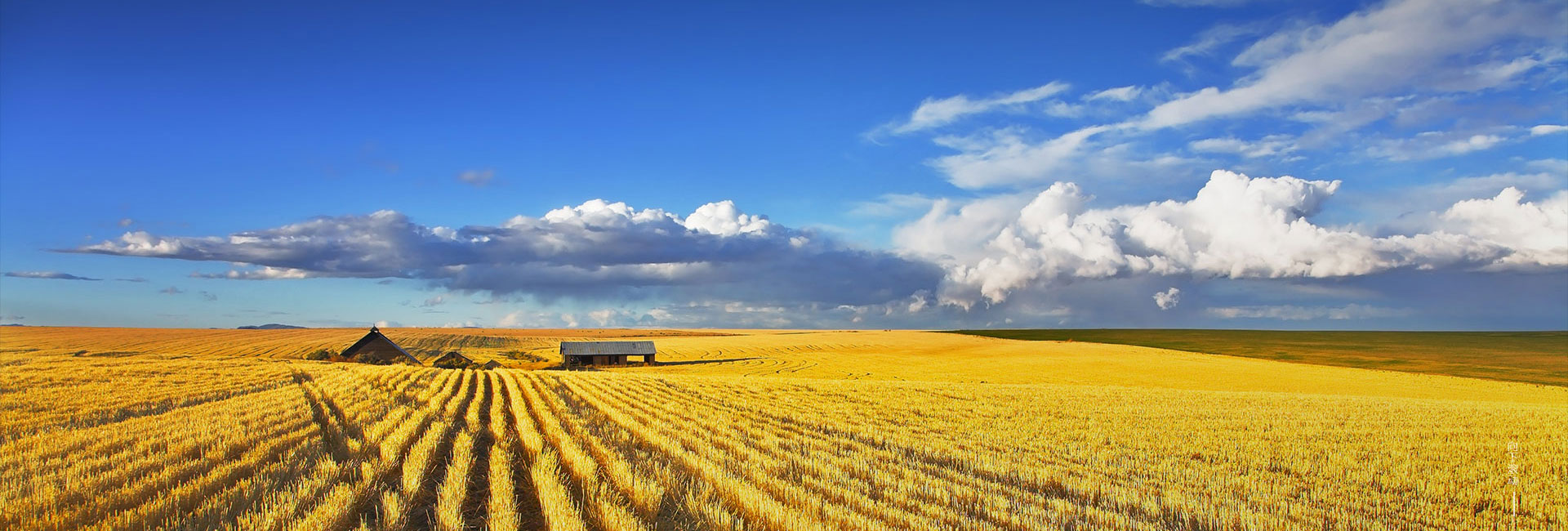 bevictorΰ�¹���-Τ�¹ٷ���վ