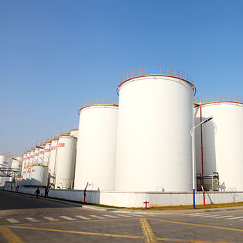 bevictorΰ�¹���-Τ�¹ٷ���վ