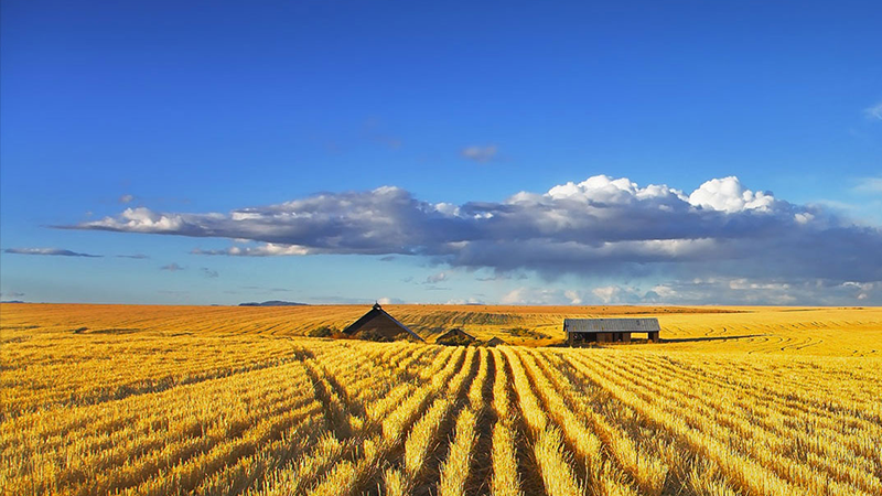 bevictorΰ�¹���-Τ�¹ٷ���վ