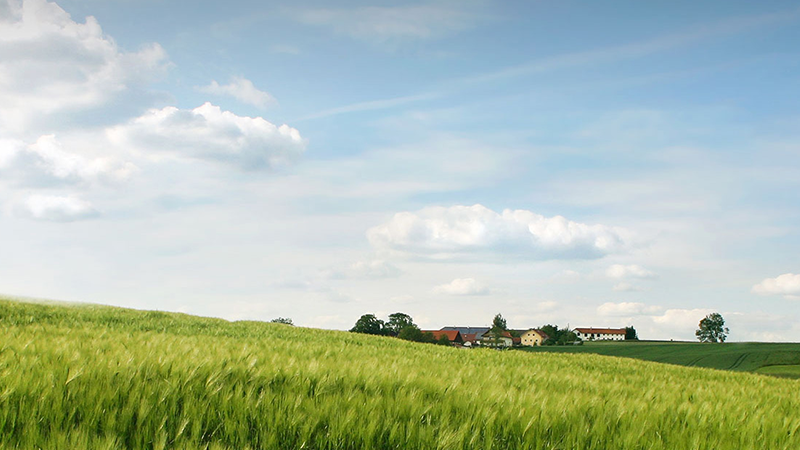 bevictorΰ�¹���-Τ�¹ٷ���վ