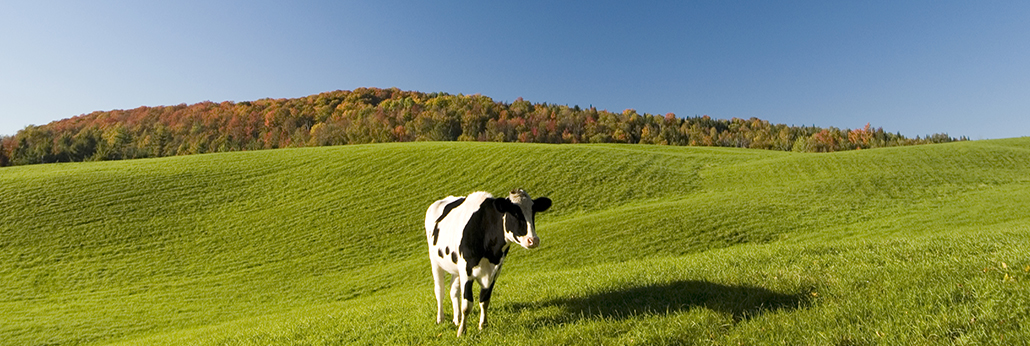 bevictorΰ�¹���-Τ�¹ٷ���վ