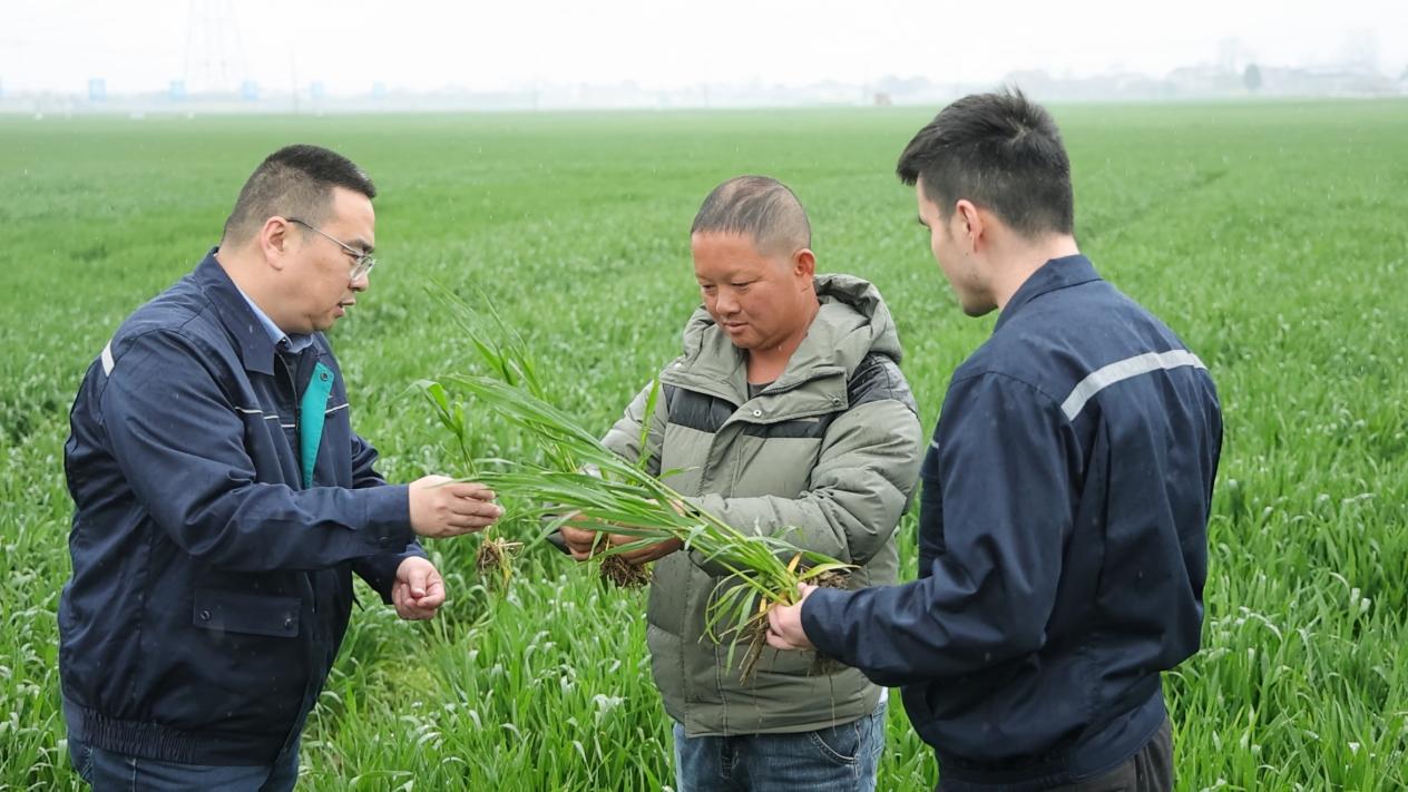 ���³�������һ�������°���®���������ˡ����ټ���