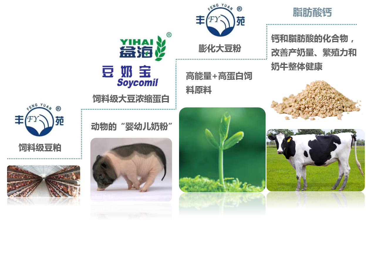 202108091338393795 202108091338393795