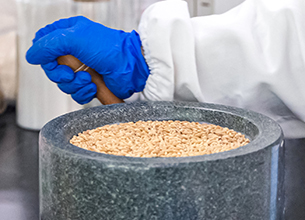 bevictorΰ�¹���-Τ�¹ٷ���վ