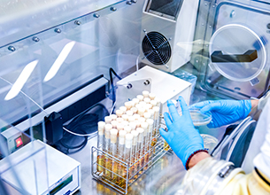 bevictorΰ�¹���-Τ�¹ٷ���վ